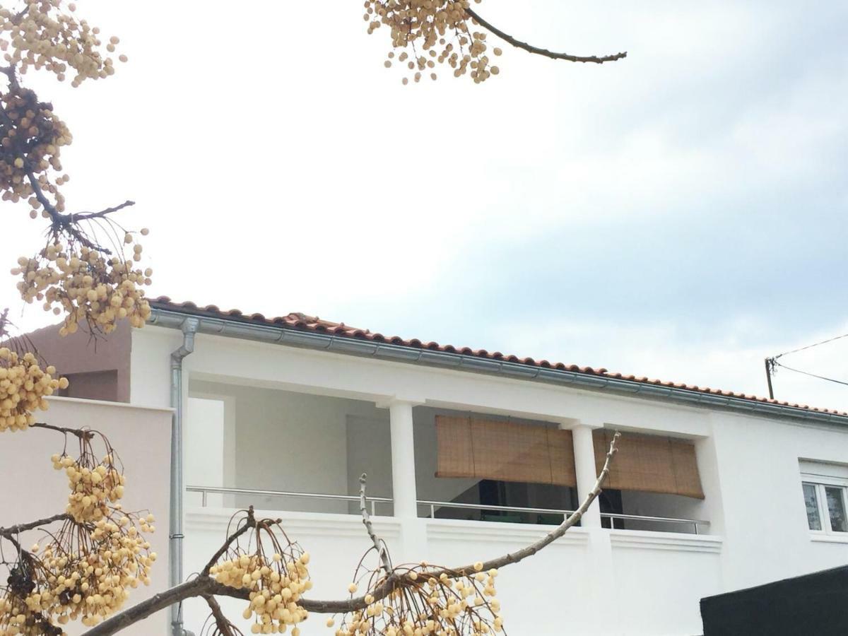 apartman luce Apartment Bibinje Exterior foto